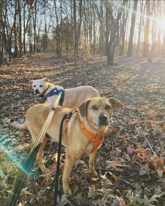 Throughout the years, Juno and Jordan celebrated many good memories