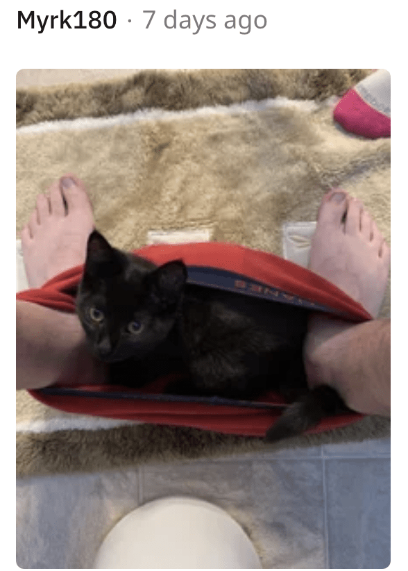 8. I'll just stay here and watch you