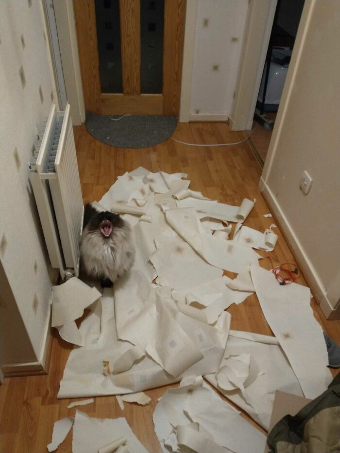 30. "You need to pay me for the great work I've done!"