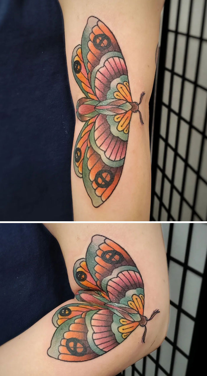14. Butterfly Alive!