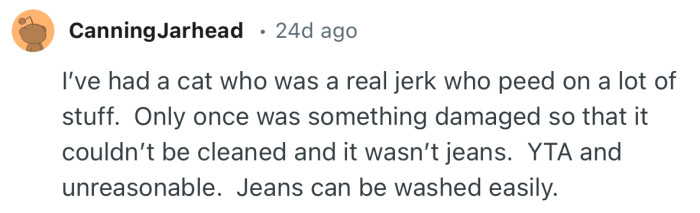 “YTA and unreasonable. Jeans can be washed easily.”