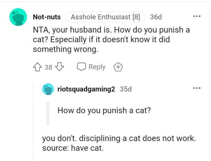 The cat doesn't know it did something wrong