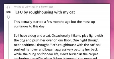 Man Accidentally Turned His Pet Cat Into A "Monster" After One Mistake