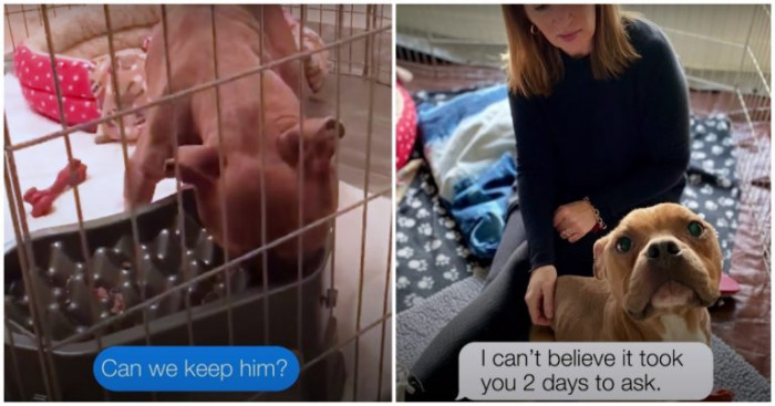 The pup now has people that will make sure he is okay