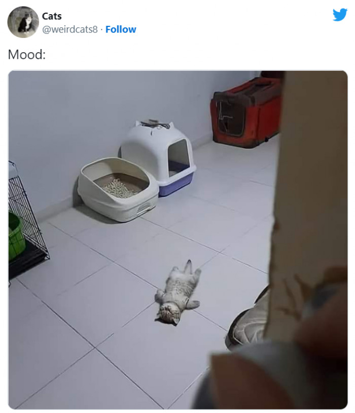 2. We know you can relate. We do!