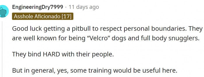 Despite their vicious appearance, Pit bulls are well known for being 