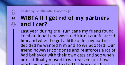 Woman Wants To Get Rid Of Her Cat For Its Sudden Bad Behavior, Seeks Advice Online But Gets Roasted Instead