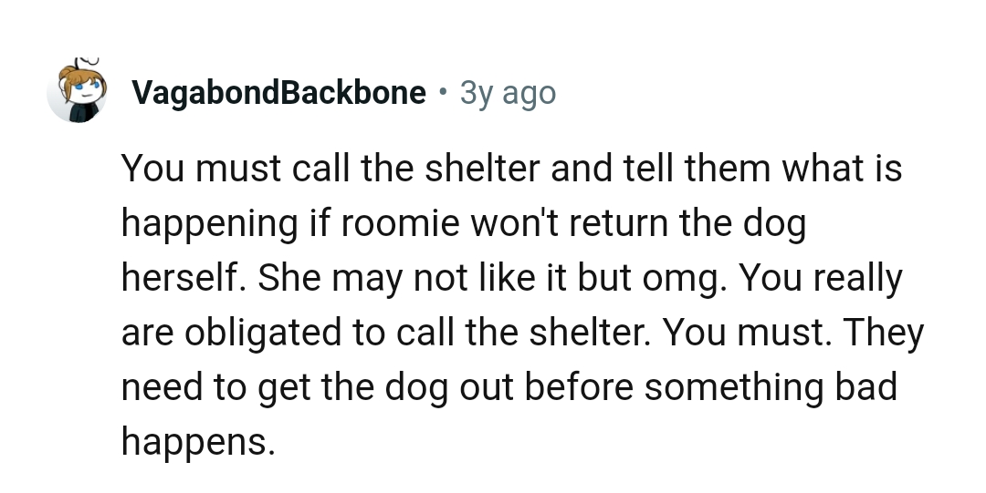 The OP's obligated to call the shelter