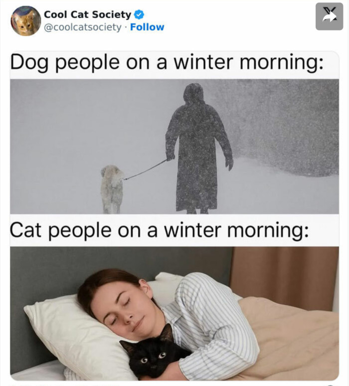 2. Cat people snuggle a lot