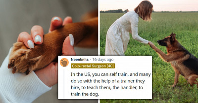 Girls With Fainting Disorder Asks If She's Wrong For Not Wanting To Train Her Current Dog To Be Her Service Dog