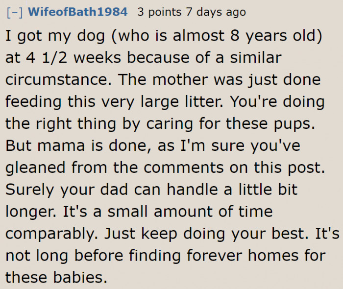 The dog can't be allowed to breed anymore. We hope the OP learned from this situation.