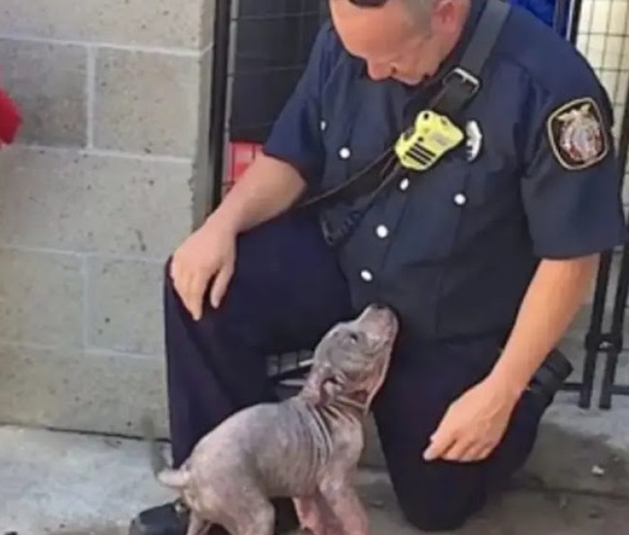 He later returned to adopt her