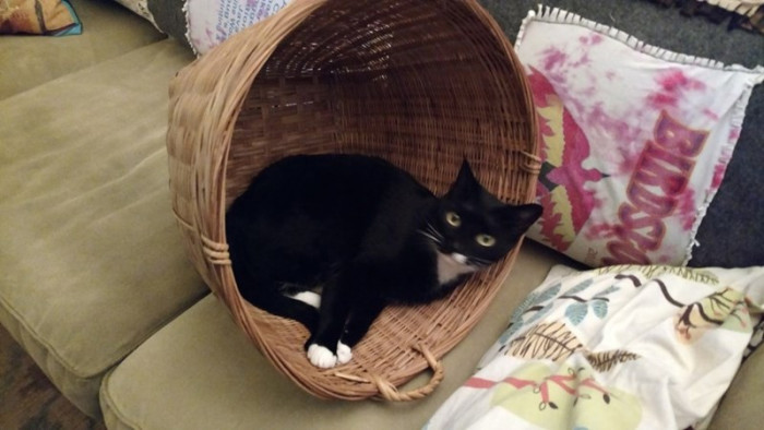 3. Huh? You mean you've never tried sleeping this way?