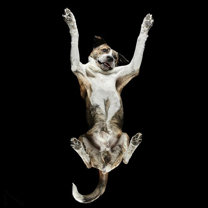 44. “Hands up if you’re just here for the treats.”