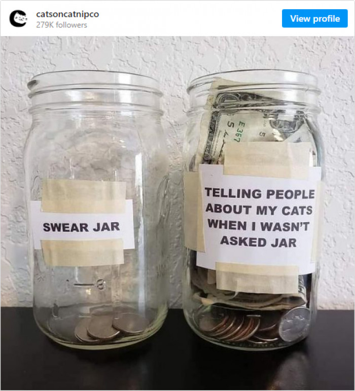 3. I'd just spend all my money on the cat