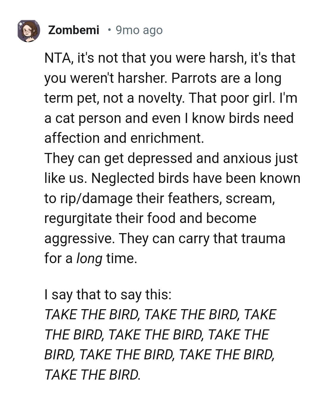 Parrots are a long-term pet, not a novelty