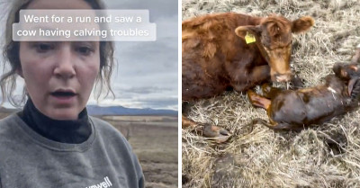Being A Cowgirl Means You Have To Be Prepared For Unexpected Situations – Even Helping Some Random Cow You Ran Into Giving Birth