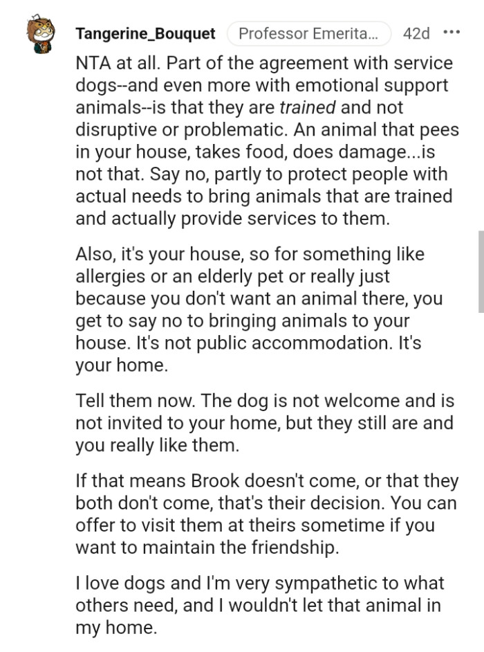 The Dog Is Not Welcomed and Not Invited to Her Home