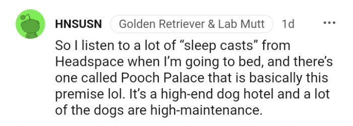 19. A lot of dogs are high maintenance