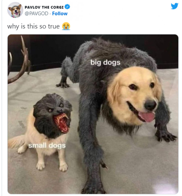 2. It is kind of true