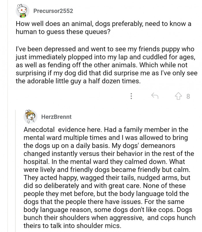 Two commentors share experiences about dogs picking up on queues from people they don't personally know
