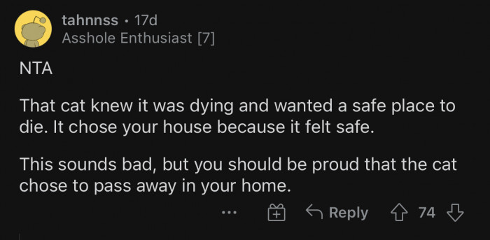 The cat recognized OP's place as a safe place to pass away.