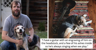 Dog Napping Backstage Wakes Up And Joins The Band's Musical Encore