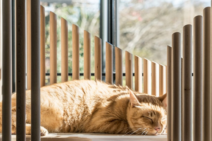 This furniture is a cultural fusion between the wooden materials of the East and the stone materials of the West