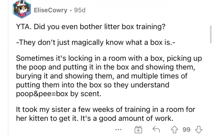 Lots of people were assuming that the dada didn't put in the effort to properly train the kitten to use the bathroom in the litter box.