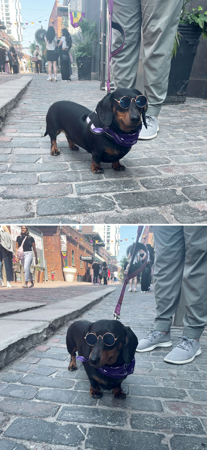 "I Had Been Keeping These Pictures All To Myself, Sorry"