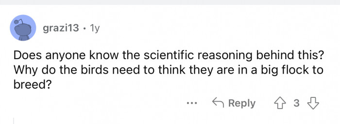 What makes flamingos want that? Those conditions are quite specific.