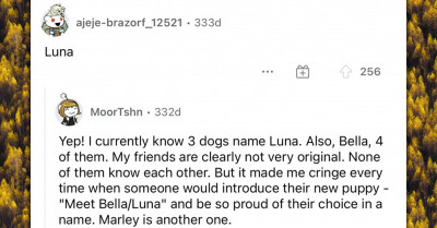 People Discuss Common Dog Names In Other Countries And They Have Us Rolling