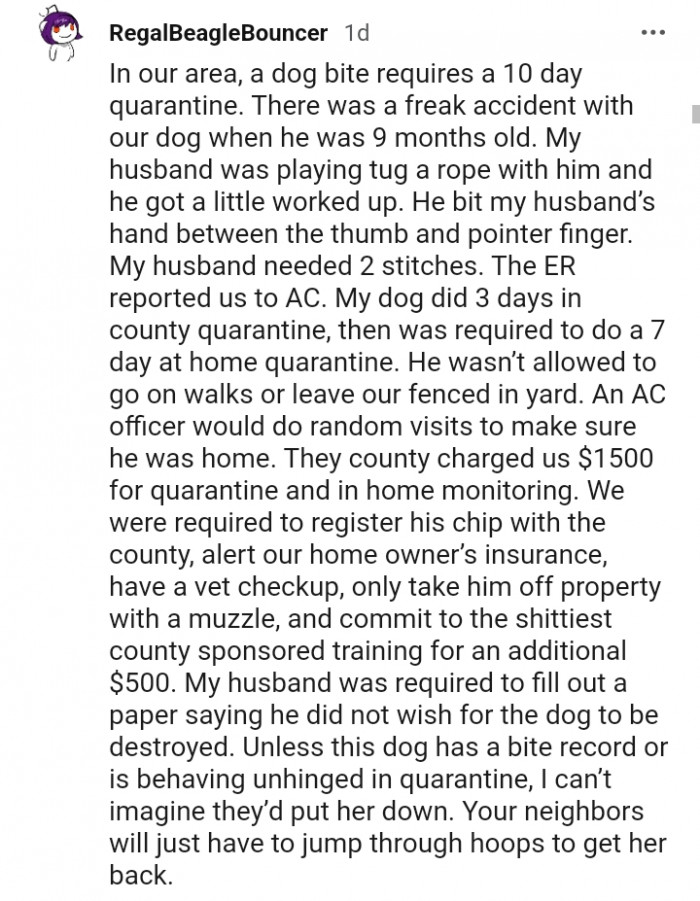 4. There was a freak accident with our dog