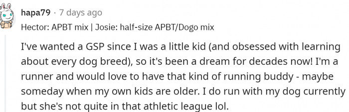 German Shorthaired Pointer