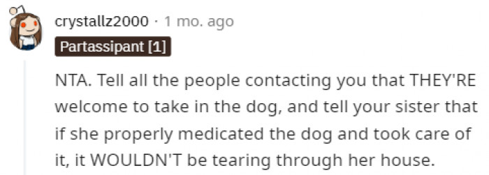 If they all care about the dog so much, then they should adopt it.