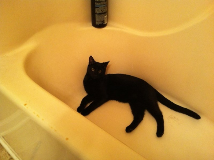 12. Oh well, this means you can't use this particular bathroom for the time being.