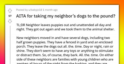 Redditor Is Annoyed By His Neighbor’s Lack of Care For His Dogs, So He Takes Them To A Shelter When They Escape From Their Yard