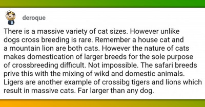 Why Dogs Have Much Greater Differences In Breed Sizes Than Cats Do