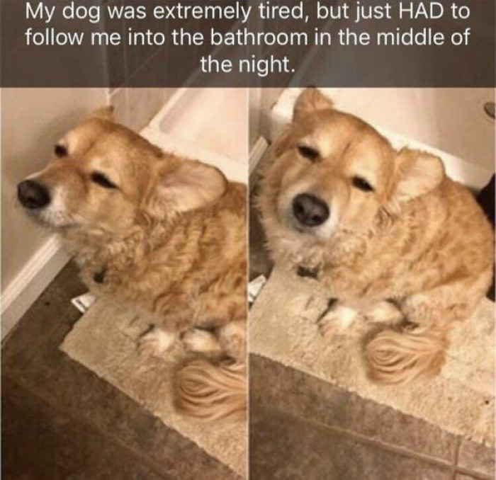 5. It's something we adore.