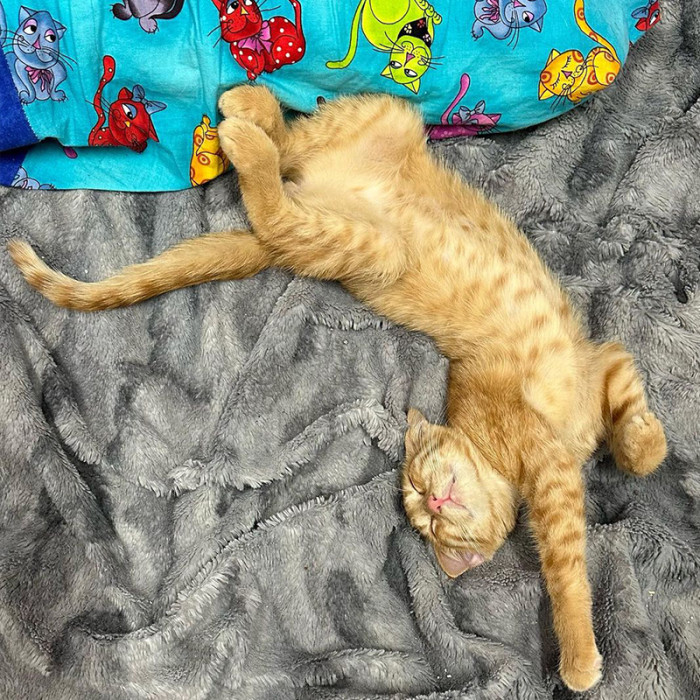 Say Hello to Strontium