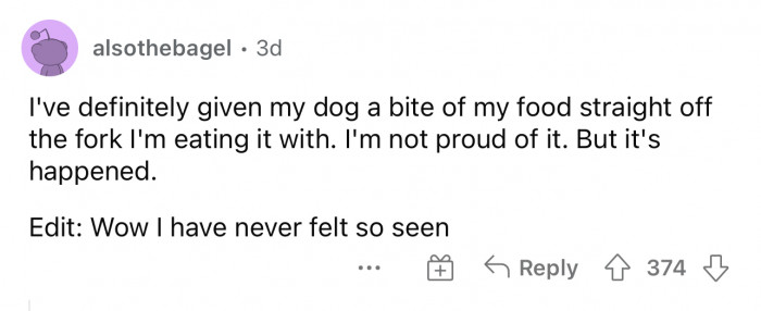 I think this is actually somewhat common for pet owners.