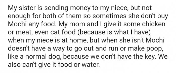 The OP's mom gives the dog some chicken or meat, even cat food
