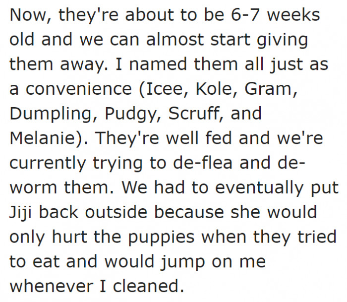 The poor teenager also has to treat the young ones before giving them away.