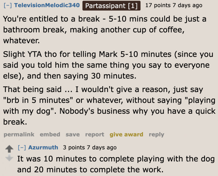 No one in the OP's workplace cares if he plays fetch with his dog during breaks.