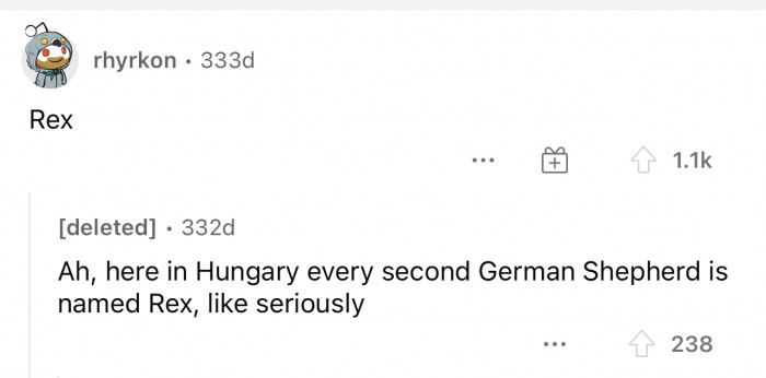 Rex is a pretty common name in a lot of different places, and it seems that it's common in Hungary for German Shepherds.
