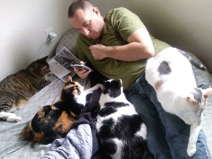 The cats don’t fight when they’re with Dad. Guess they picked their favorite