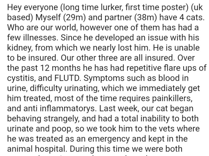 The OP's cat began behaving strangely, and had a total inability to both urinate and poop