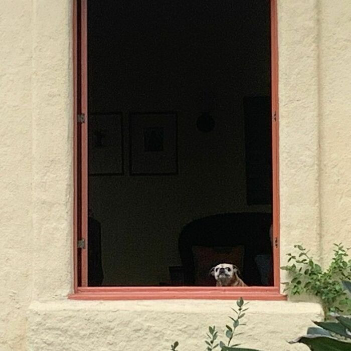 26. Sometimes, all you want to do is stare into space