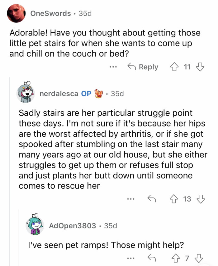 Just some fur parents' bits of advice here!