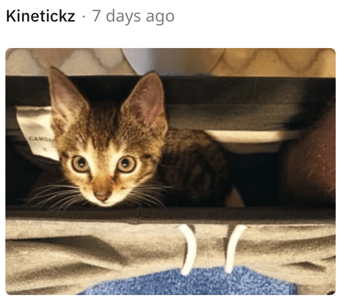 7. What? This is my pants too!